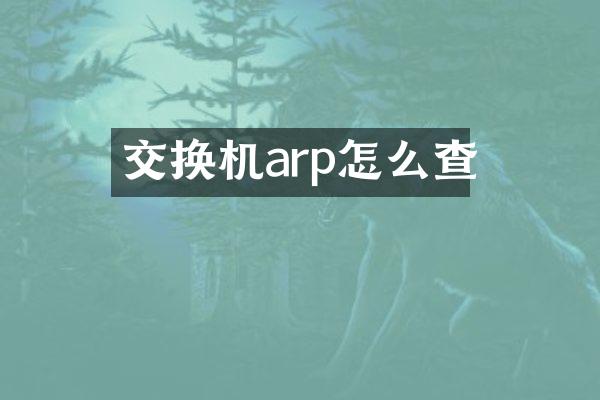 交换机arp怎么查
