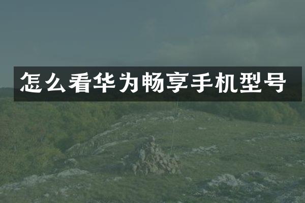 怎么看华为畅享手机型号