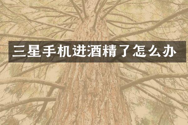 三星手机进酒精了怎么办