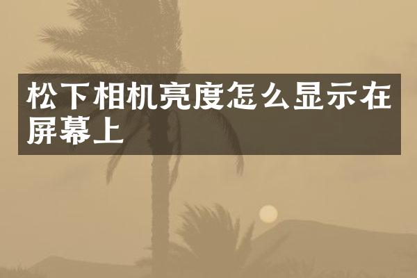 相机亮度怎么显示在屏幕上
