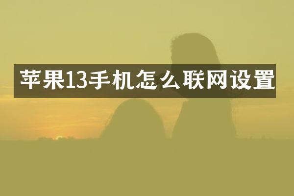 苹果13手机怎么联网设置