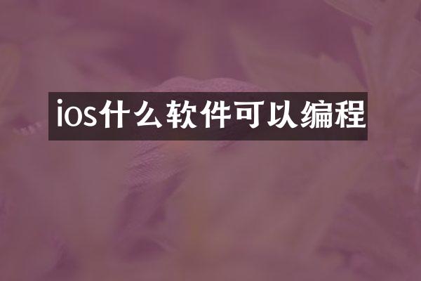 ios什么软件可以编程