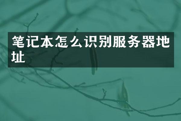 笔记本怎么识别服务器地址