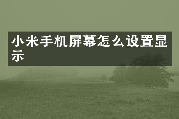小米手机屏幕怎么设置显示