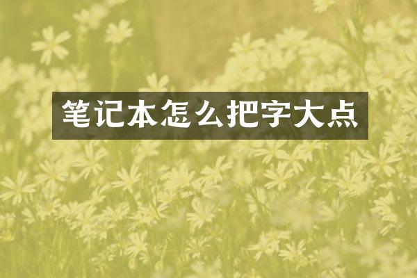 笔记本怎么把字大点