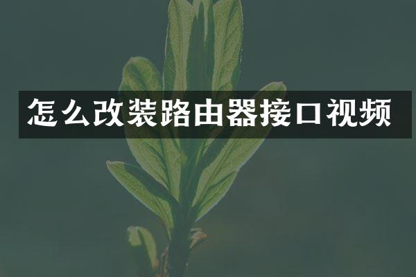 怎么改装路由器接口视频