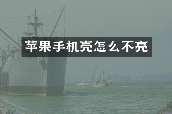苹果手机壳怎么不亮