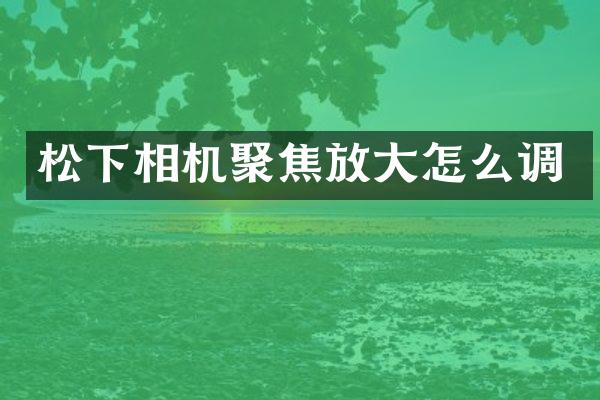 相机聚焦放大怎么调