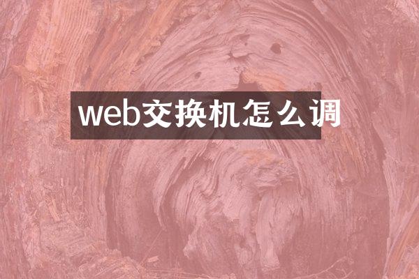 web交换机怎么调