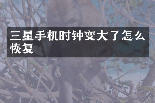 三星手机时钟变大了怎么恢复