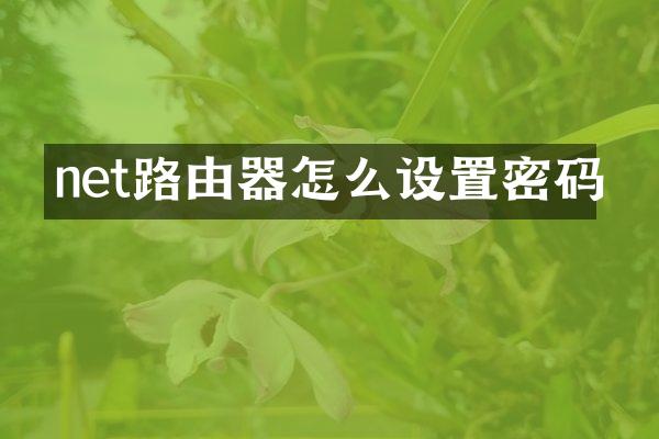 net路由器怎么设置密码