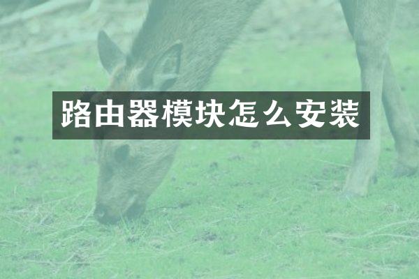 路由器模块怎么安装