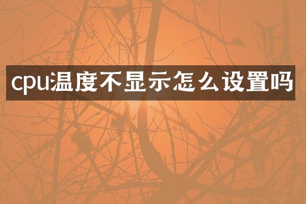 cpu温度不显示怎么设置吗