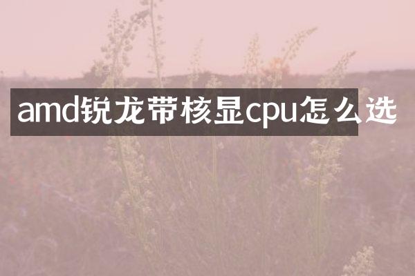 amd锐龙带核显cpu怎么选
