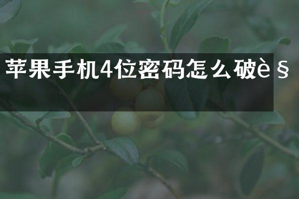 苹果手机4位密码怎么破解