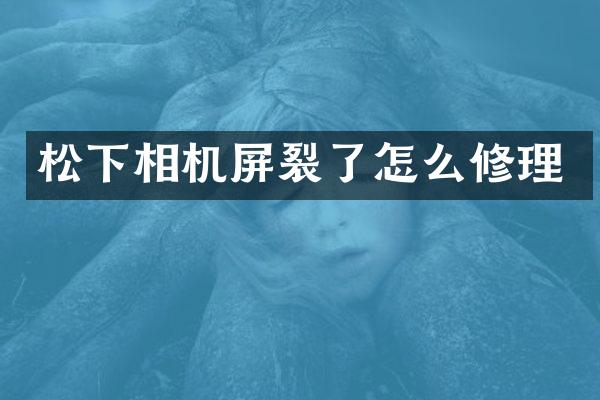 相机屏裂了怎么修理