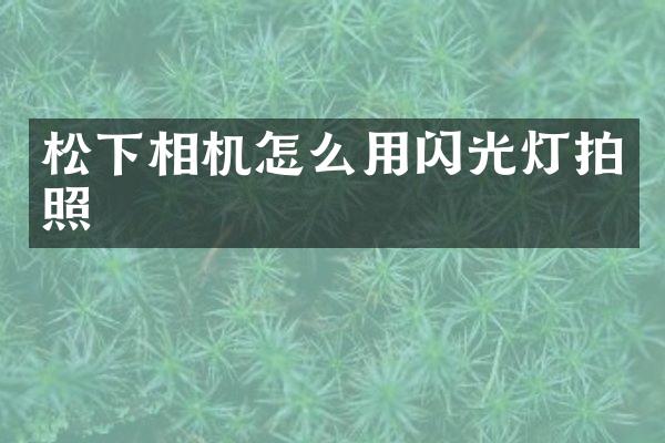 相机怎么用闪光灯拍照