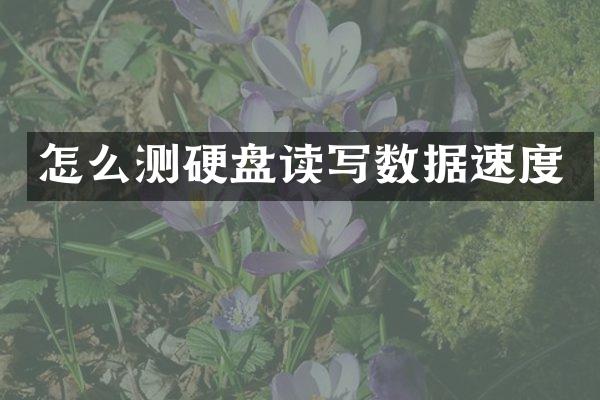 怎么测硬盘读写数据速度
