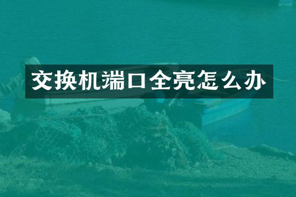 交换机端口全亮怎么办
