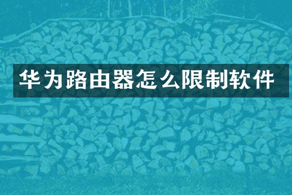 华为路由器怎么限制软件