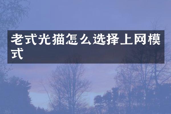 老式光猫怎么选择上网模式
