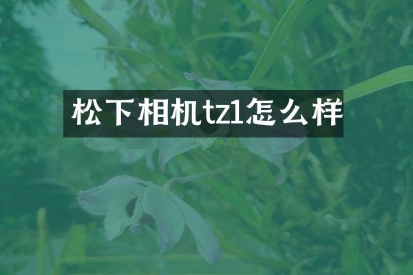 相机tz1怎么样