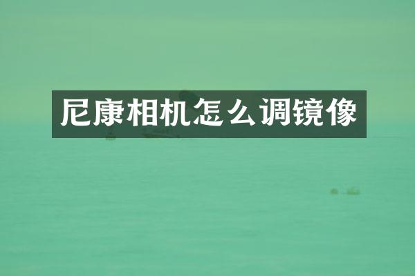 尼康相机怎么调镜像