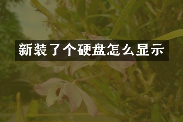 新装了个硬盘怎么显示