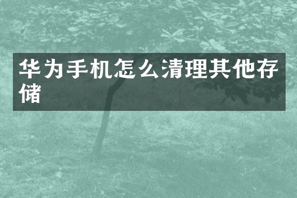 华为手机怎么清理其他存储