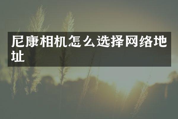 尼康相机怎么选择网络地址