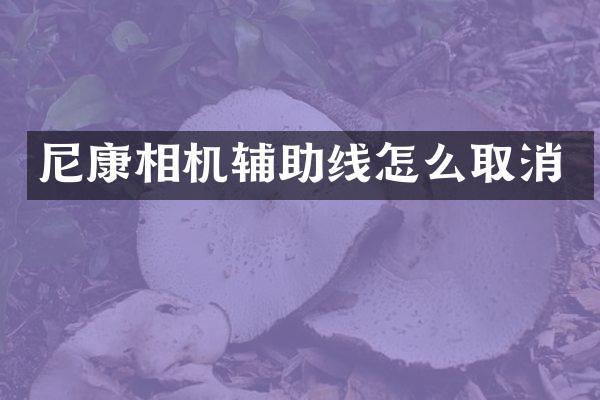 尼康相机辅助线怎么取消