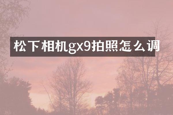 相机gx9拍照怎么调