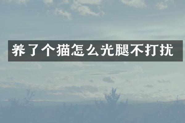 养了个猫怎么光腿不打扰
