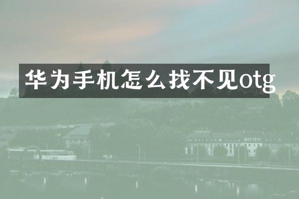 华为手机怎么找不见otg