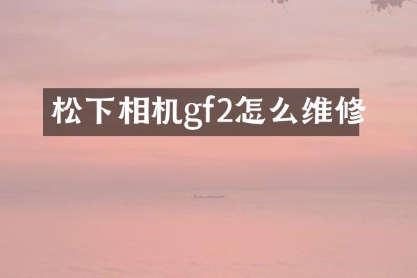 相机gf2怎么维修