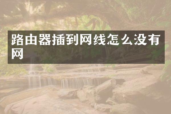 路由器插到网线怎么没有网