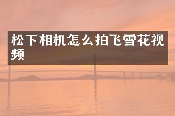 相机怎么拍飞雪花视频