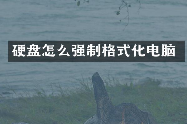 硬盘怎么强制格式化电脑