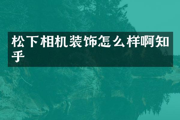 相机装饰怎么样啊知乎