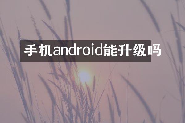 手机android能升级吗