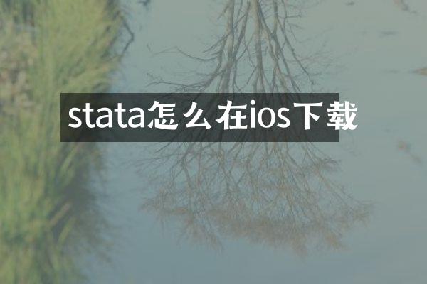 stata怎么在ios下载