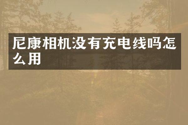 尼康相机没有充电线吗怎么用