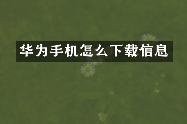 华为手机怎么下载信息