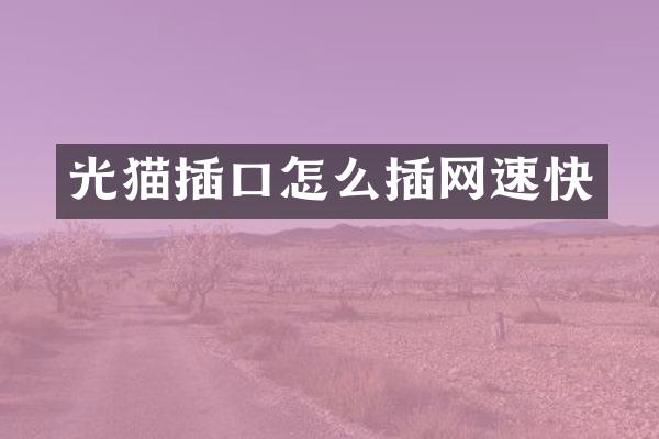 光猫插口怎么插网速快