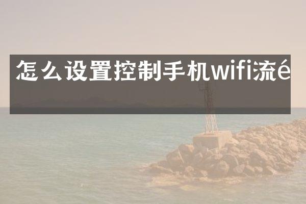 怎么设置控制手机wifi流量