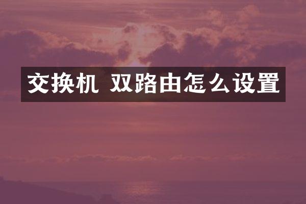交换机 双路由怎么设置