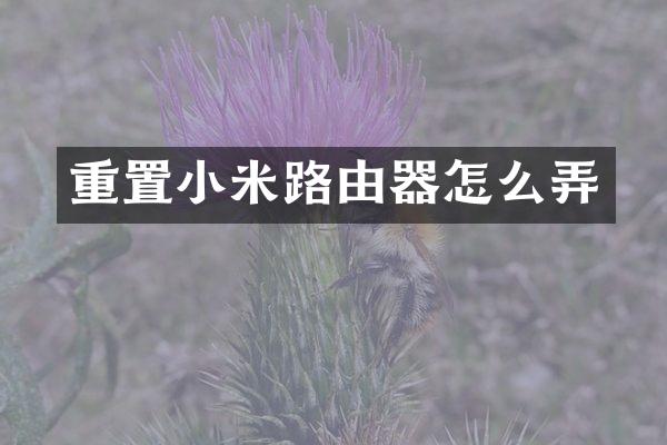 重置小米路由器怎么弄