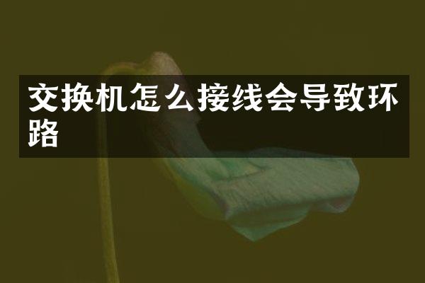 交换机怎么接线会导致环路