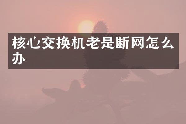 核心交换机老是断网怎么办