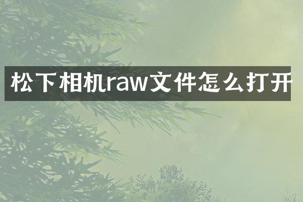 相机raw文件怎么打开